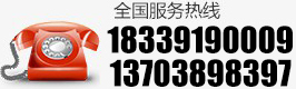  13603916515